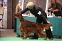 Crufts2011 821